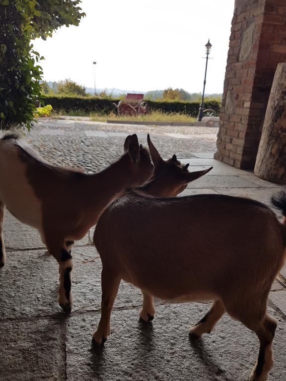 Agriturismo La Cavallina Villa Monguzzo Buitenkant foto